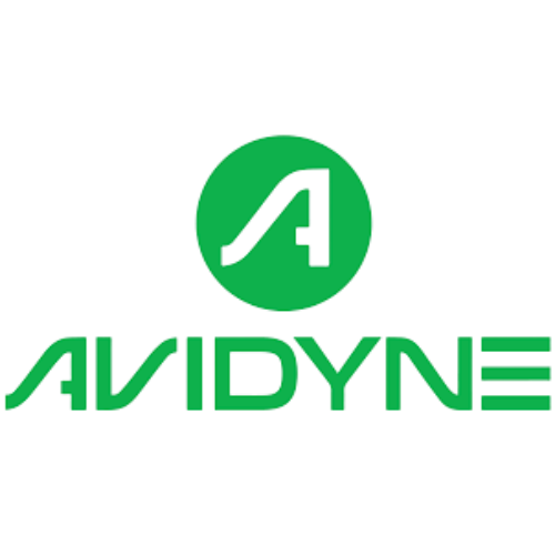Avidyne